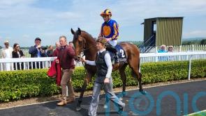 O&rsquo;Brien confident River Tiber will stay Coventry distance