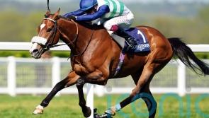 Coltrane heads 14 contenders for Gold Cup honours