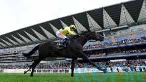 Royal Champion victory one to savour for Jack Mitchell