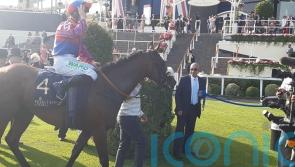 Big Evs makes it a big day for Mick Appleby in Windsor Castle