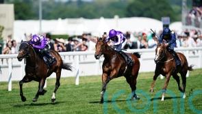 No excuses for Little Big Bear&rsquo;s Ascot eclipse