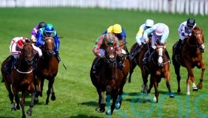 Soushi digs deep for Duke of Edinburgh honours