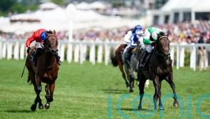 Khaadem produces 80-1 shock in big Royal Ascot sprint