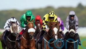 Nunthorpe consolation on the agenda for Manaccan