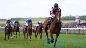 Via Sistina &lsquo;ready to rock and roll&rsquo; in Pretty Polly