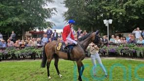 Audience proves captive viewing for Gosden at Newmarket