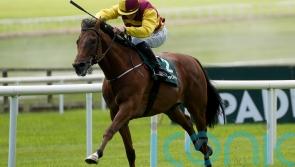 Mashhoor floors returning Al Riffa in International Stakes