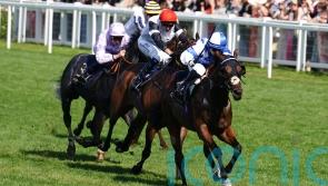 Deer eyeing Abbaye hat-trick with Saint Lawrence