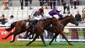 Bucanero Fuerte digs deep for Railway rewards