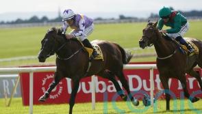 Bold Discovery sparks Curragh Celebration for Harrington