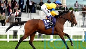 Stay Alert connections lodge Pretty Polly appeal