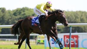 Haggas has Sea Silk Road treading familiar path in Lancashire Oaks