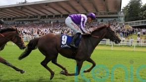 Perotto prevails to seal Marquand double at Sandown