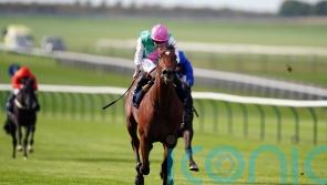 Nostrum primed for delayed Newmarket return