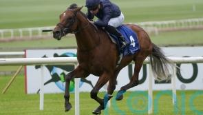 O&rsquo;Brien hoping for Superlative performance from City Of Troy