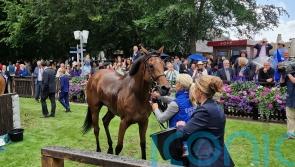 Race The Wind makes no mistake at second time of asking