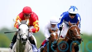 Dante winner The Foxes could drop down in trip