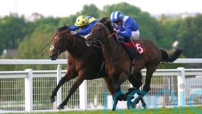 Hukum on course for King George outing