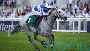 Art Power to make speedy reappearance in Sapphire heat