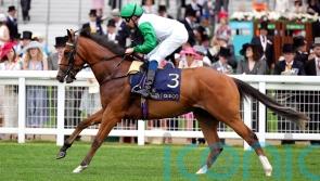 Asadna takes Bowl test on debut for Alice Haynes