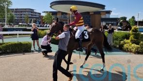 Iberian could tackle Listed company at Ascot