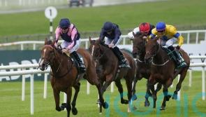 Stay Alert could bid for Pretty Polly compensation in France