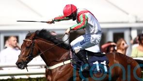 Bowen hunting Plate hat-trick for Francky Du Berlais