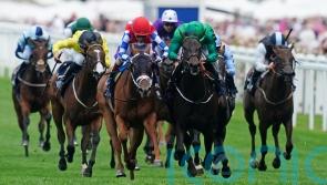 Haggas looking for third Super Sprint success with Relief Rally