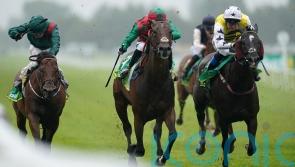 Commanche Falls pounces late to secure Hackwood prize