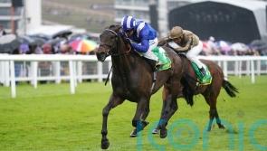 Al Aasy bounces back in style at Newbury