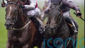 Fresh primed for International defence at Ascot