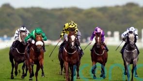 Manaccan misses out on Nunthorpe run