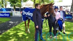 Jackie Oh strikes Gowran gold