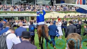 Smith content despite reduction in King George crowd