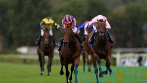 Paddington all set to produce once again in Sussex Stakes