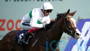 Free Wind seeking to return to winning ways at Goodwood