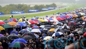 Unsafe ground forces early finish at Goodwood