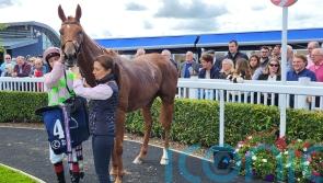 Vauban coasts home to bag Ballyroan honours