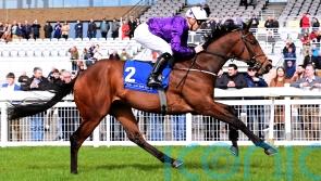 Murray favouring Bucanero Fuerte for Phoenix test