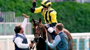 Eldar Eldarov taken out of intended Curragh engagement