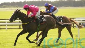 Layfayette back in business at the Curragh