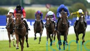 All systems go for royal Classic contender Desert Hero