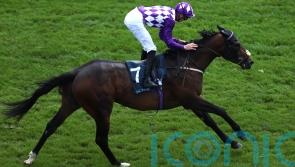 Shaquille proving a willing student in pre-Haydock stalls tuition