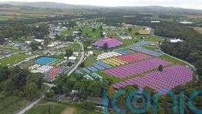 Electric Picnic festival prepares to open its doors