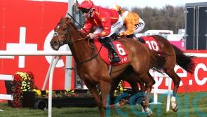 Nicol calls early end to Wise Eagle&rsquo;s campaign