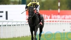 Middle Park outing still favoured for Vandeek