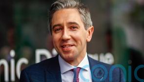 Harris calls for national debate about adding TDs &lsquo;ad nauseum&rsquo;