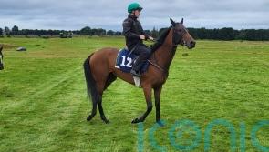 Murtagh set to aim big with Cadeau Belle next week