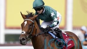 Nashwa in &lsquo;great shape&rsquo; ahead of Irish Champion challenge