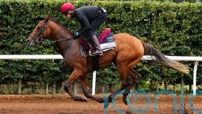 City Of Troy on course for National Stakes showdown